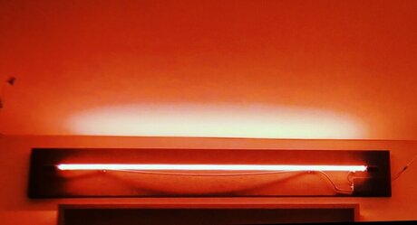 Ms Kuddo ポルノスター セックス 画像