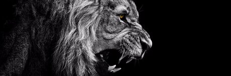 Nu Des Mondes ヌードモデル 写真