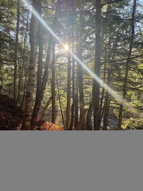 裸のアジア人オンリーファンズ ホットセックス 写真