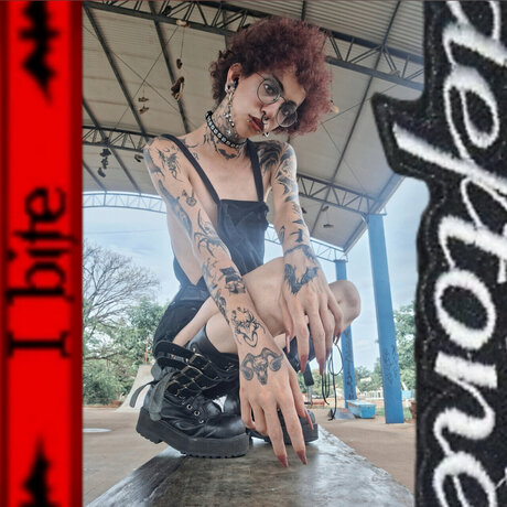 BatCat 限定スター ギャラリー