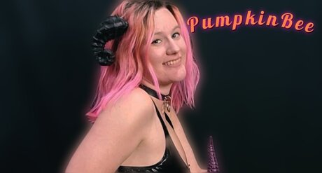Pumpkin Bee ホットなモデル アーカイブ