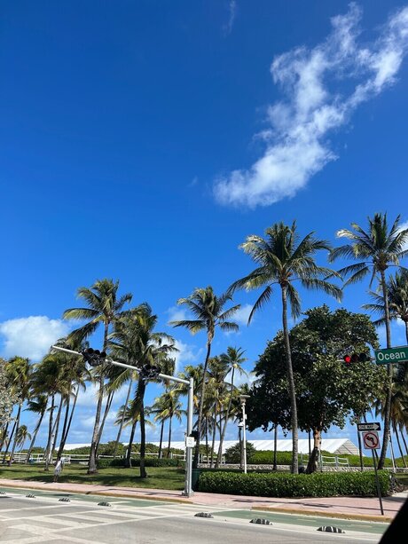 _Jilliana ヌードモデル 画像