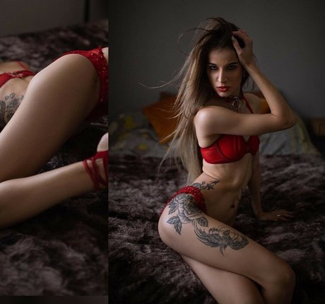 DinaCat 最高のスター 写真