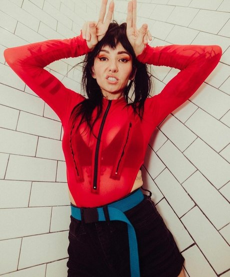 Poxleitner HDモデル 写真