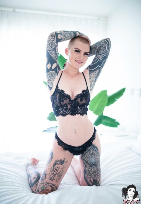 Sierhaus ポルノモデル 写真