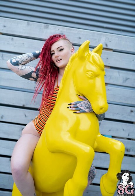 Sierhaus 無料のスター 写真