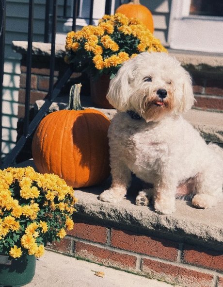 Lizzy Decologero 無料モデル 画像