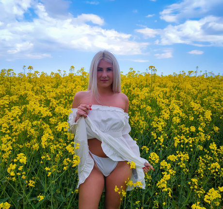 anie b free 写真集