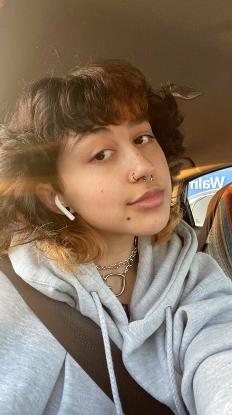 Suedmza エロティックなスター 画像