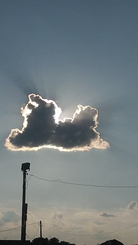 Mer boy11 可愛い女優 ギャラリー