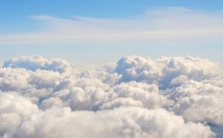 Stella Francis TS_ 完璧なモデル 写真