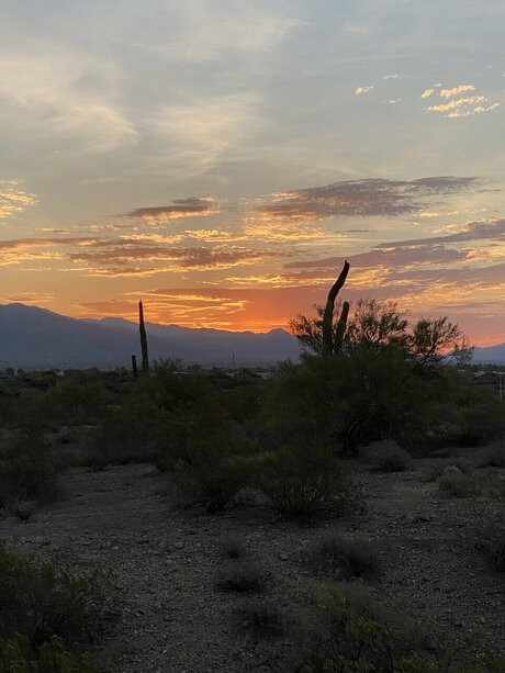 HappyCoupleVixen 素敵な女優 ギャラリー