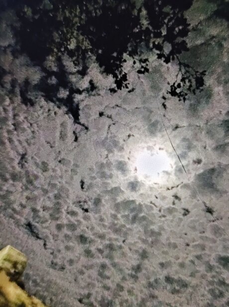 Hellie_ 完璧なスター 画像