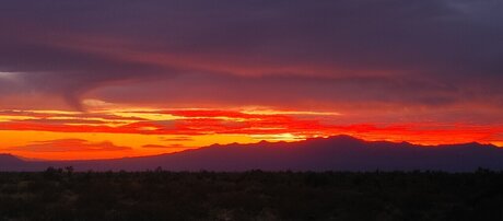 Matthew Alequin ポルノスター xxx 画像