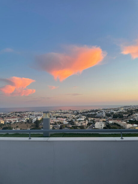 daisy baby 美しいスター 画像