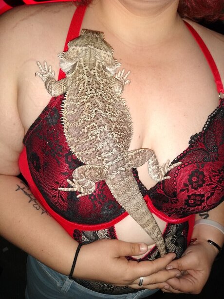 Bad bitches ヌード女優 ギャラリー