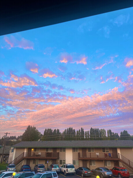 Sativa Syd 無料スター 写真