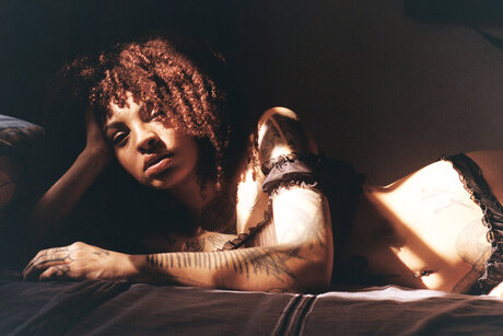 Moliv Painter Cool cat ポルノスター 素敵 ギャラリー