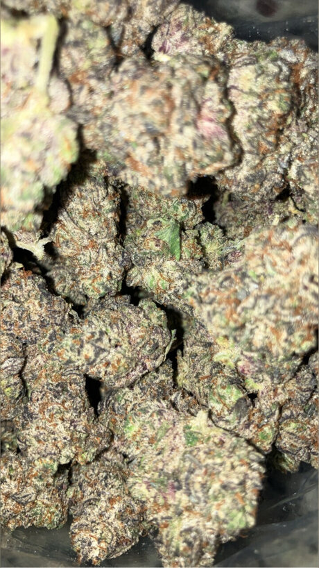 Money Mal XXXモデル 写真