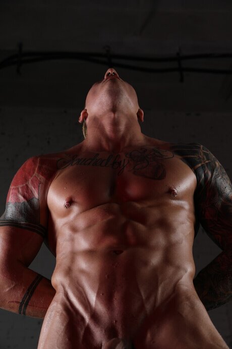 CENTAUR OFF ホットスター 写真