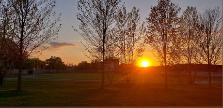 Just a dick ポルノスター xxx 画像