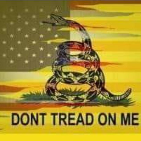 Prepped ホットモデル ギャラリー