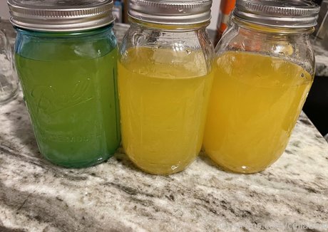 celiabbw モデル 写真