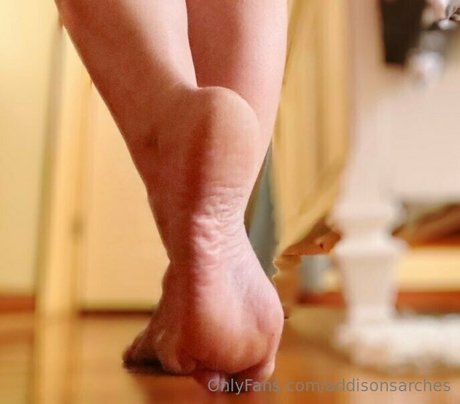 addisonsarches トップスター ギャラリー