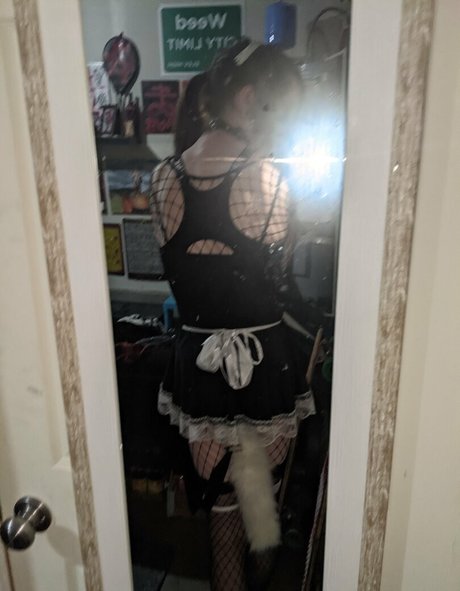 n somnium 完璧なスター ギャラリー