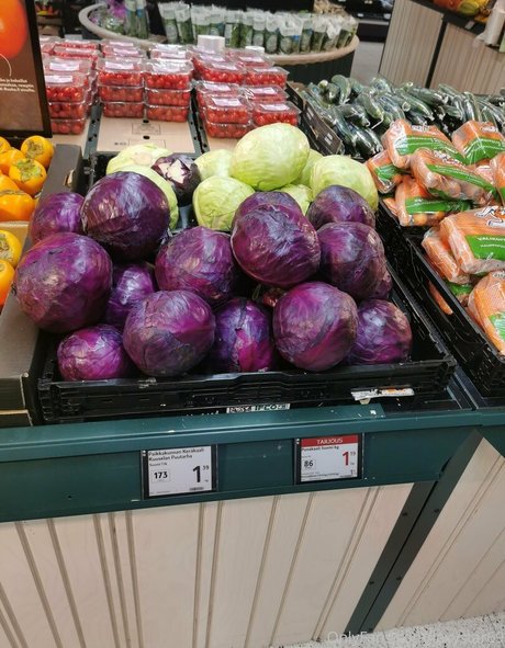 cristall69 ヌード女優 アーカイブ