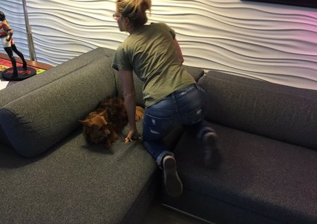 Iliza Shlesinger ポルノスター セックス 写真