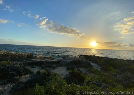 notyourgrandma HDモデル 写真