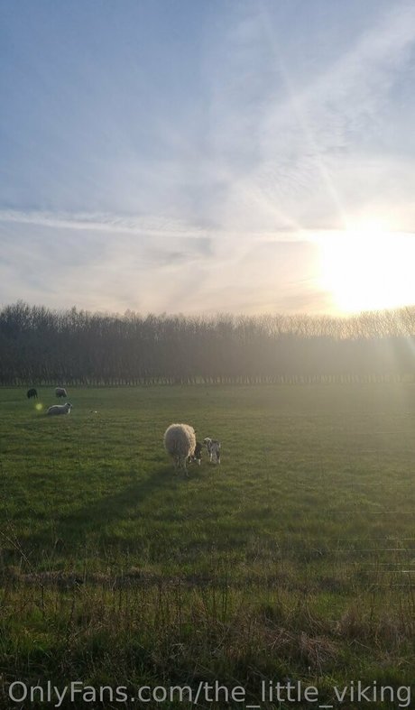 the little viking ヌード女優 画像