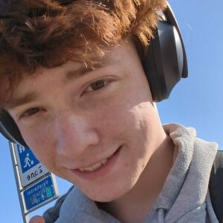 the little viking ポルノスター 写真