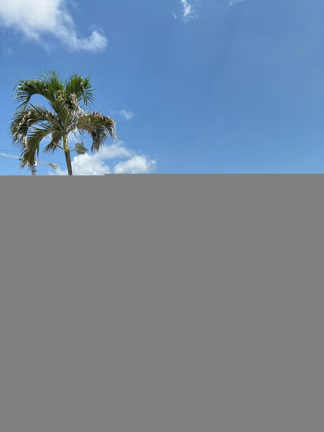 BiaBunnyy 裸のポルノスター 写真