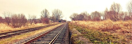 TankEngineX ポルノスター 画像