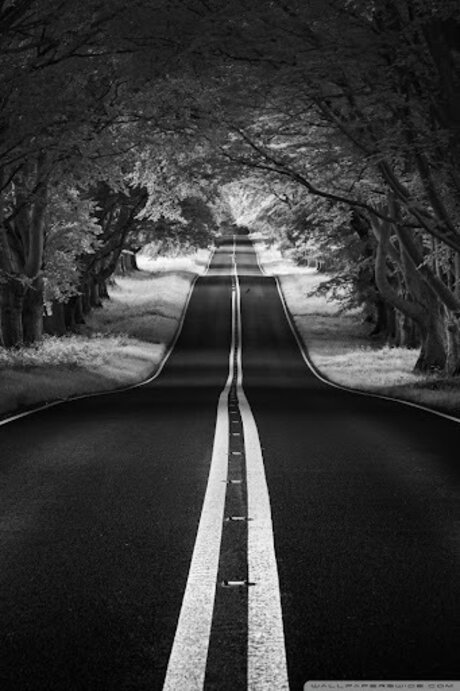 ThatOneGirl_ ヌードモデル 写真