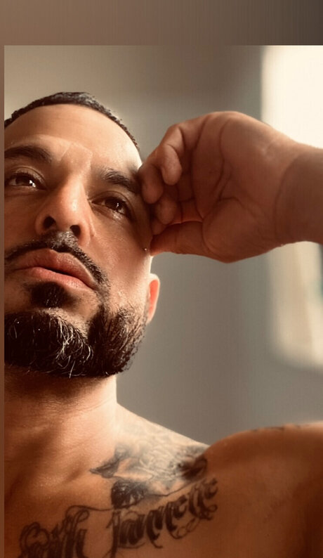 TheOne ATA セクシーなポルノスター 画像