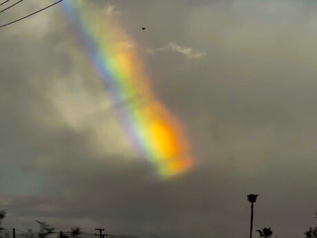 TheOne ATA ポルノスター 写真