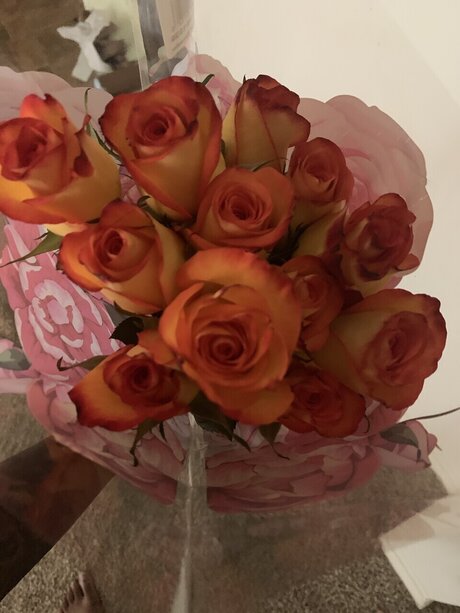 BBB 裸のスター 写真