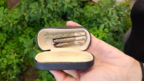 _fulani7a_ ポルノスター 高品質 ギャラリー