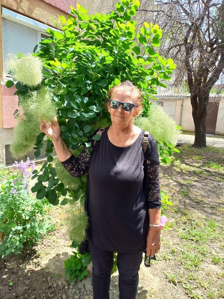 Nada Husti 最高のスター ギャラリー