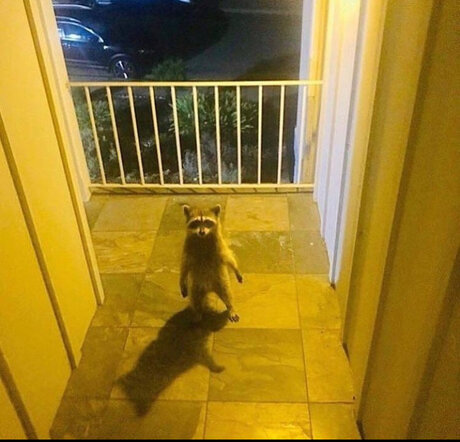 Franklin 完璧なモデル 写真