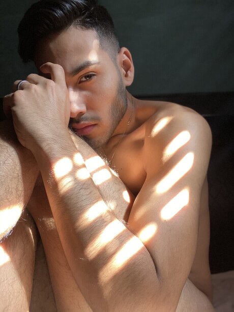 Tapia G_ 素敵なスター ギャラリー