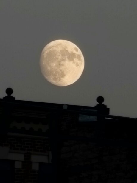 _LustfulMex_ エロティックなスター 写真