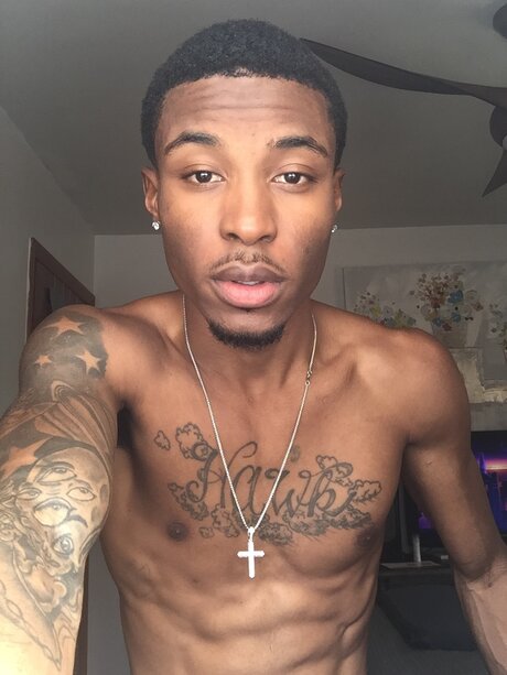 Ybghawk HDスター 画像