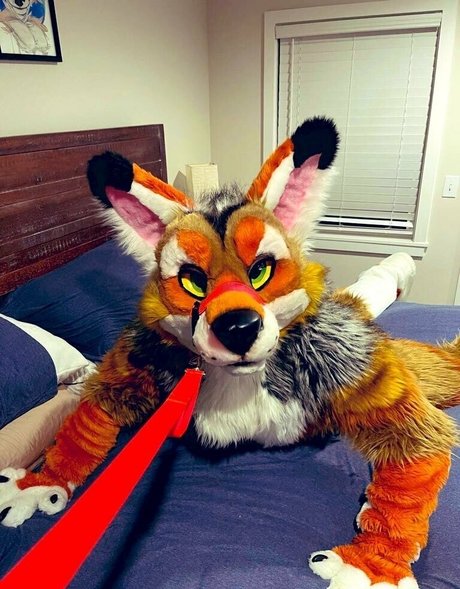 anejo xxx kaii トップポルノスター 写真