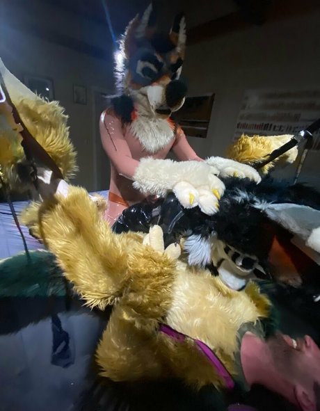 anejo xxx kaii 独占スター 画像