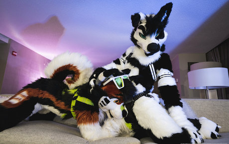 熟女の手コキオンリーファンズ HD アーカイブ