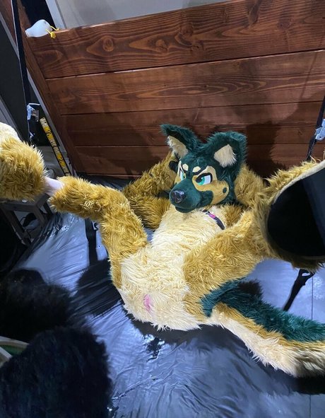 anejo xxx kaii 最高のモデル 画像